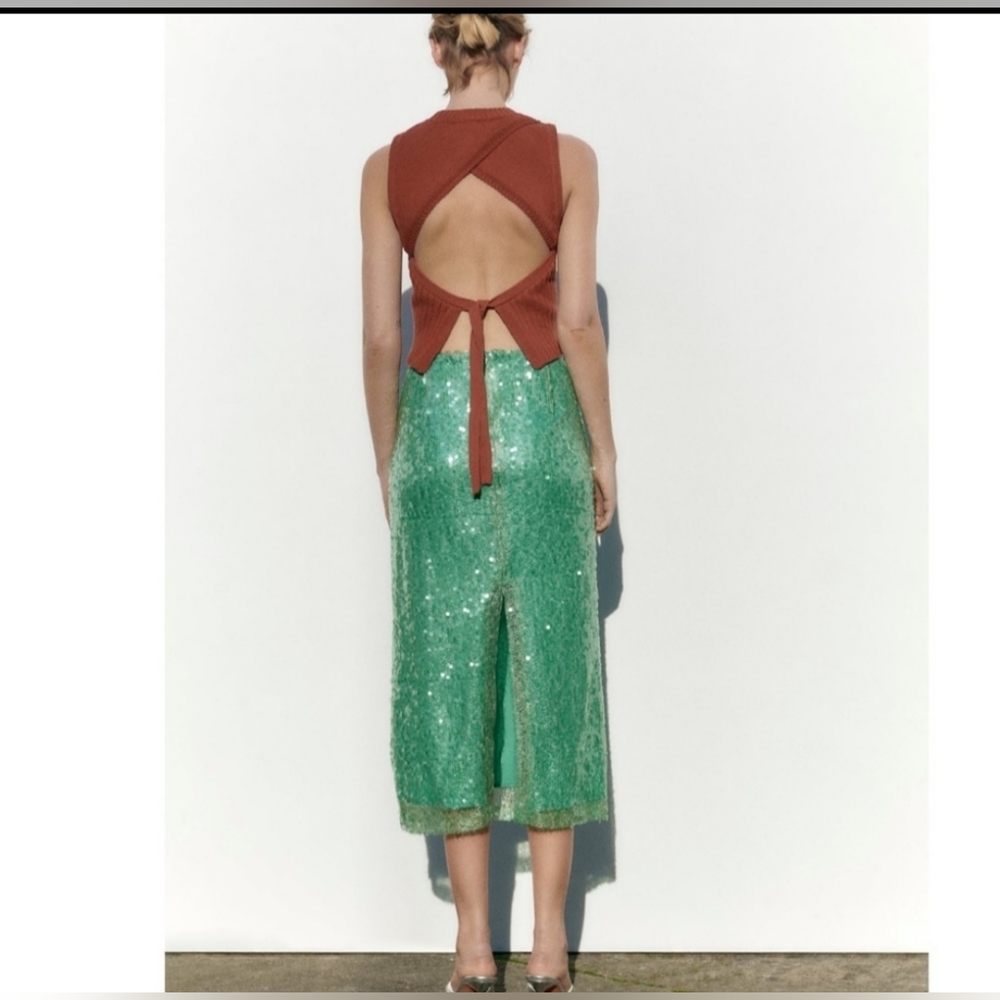 Zara Skirt - Picture 7 of 10